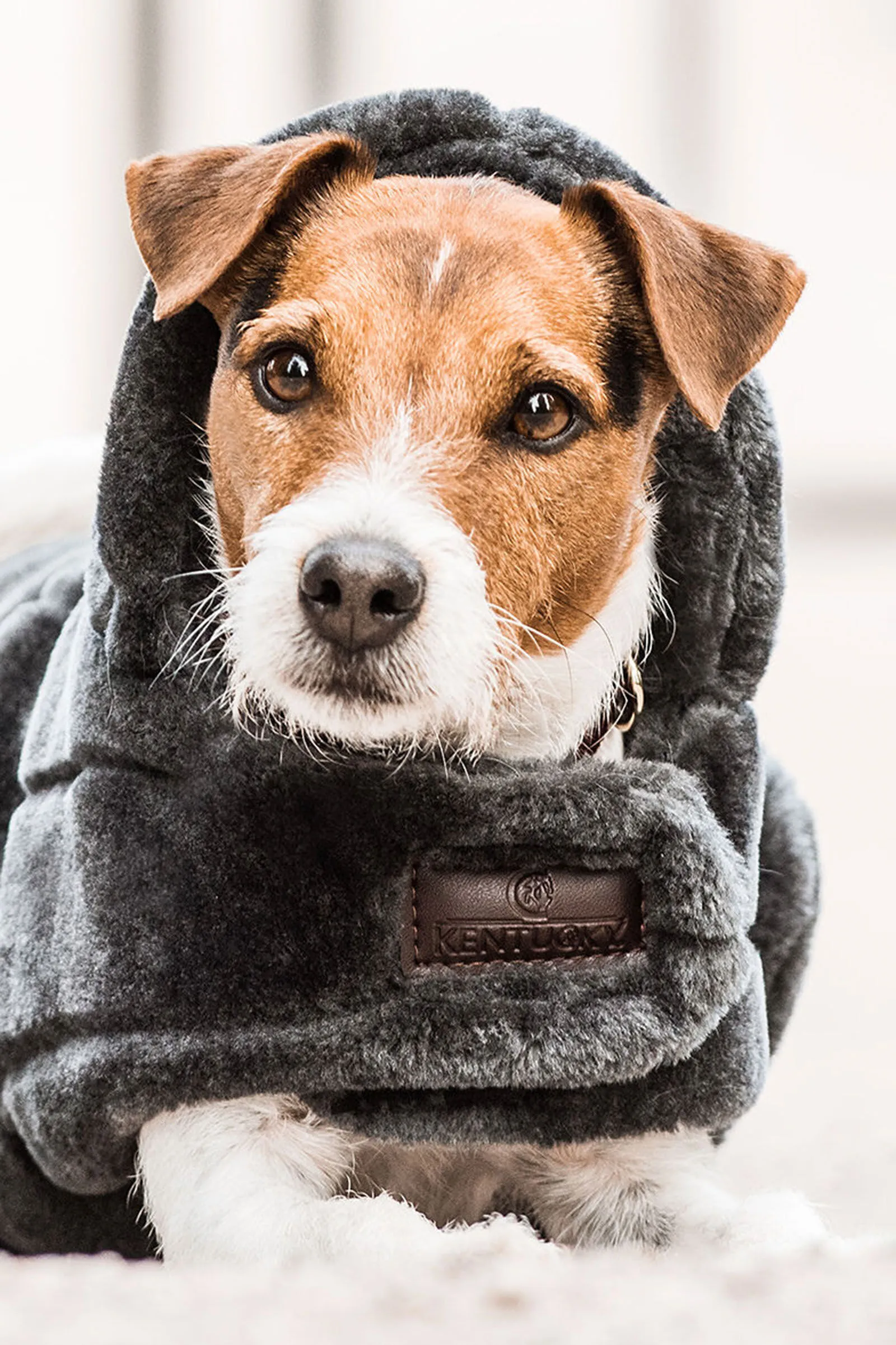 Cappotto per cani Kentucky Dogwear in finta pelliccia